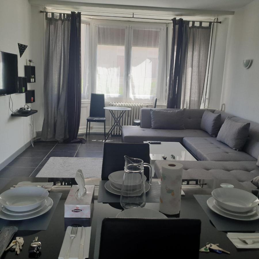 Appartement T2 Courte Duree Coup De Coeur Toute A 5 Minutes Saint-Etienne  Dış mekan fotoğraf